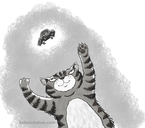Cat Toy